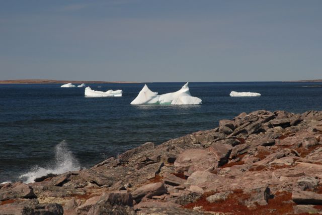 De mai à juillet, les icebergs défilent dans le détoit de Belle-Isle, entre Blanc-Sablon et Terre-Neuve. – Crédit photo: ©Gary Lawrence